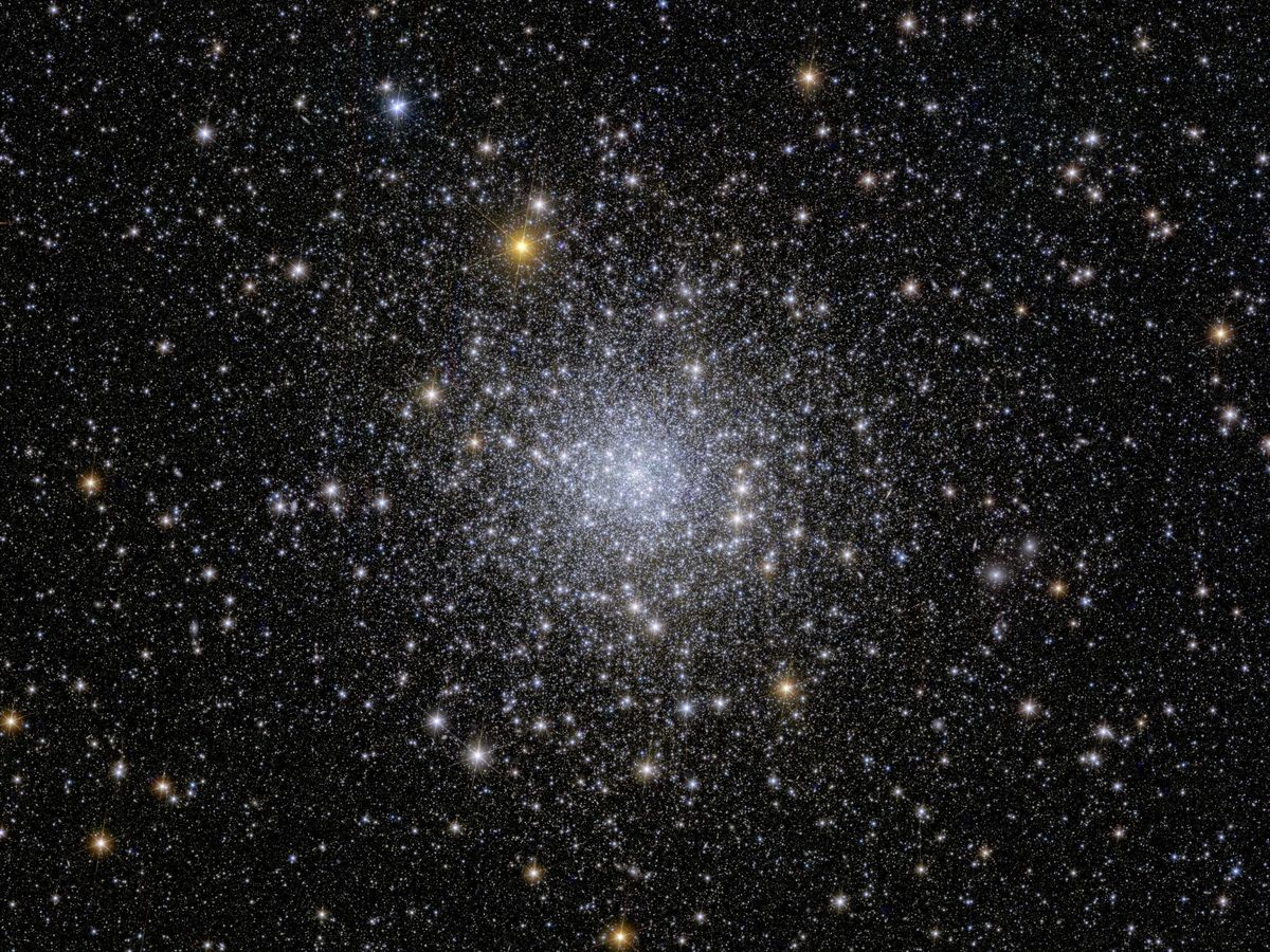 Foto: Fotografía de la vista de Euclid del cúmulo globular NGC 639. (ESA)