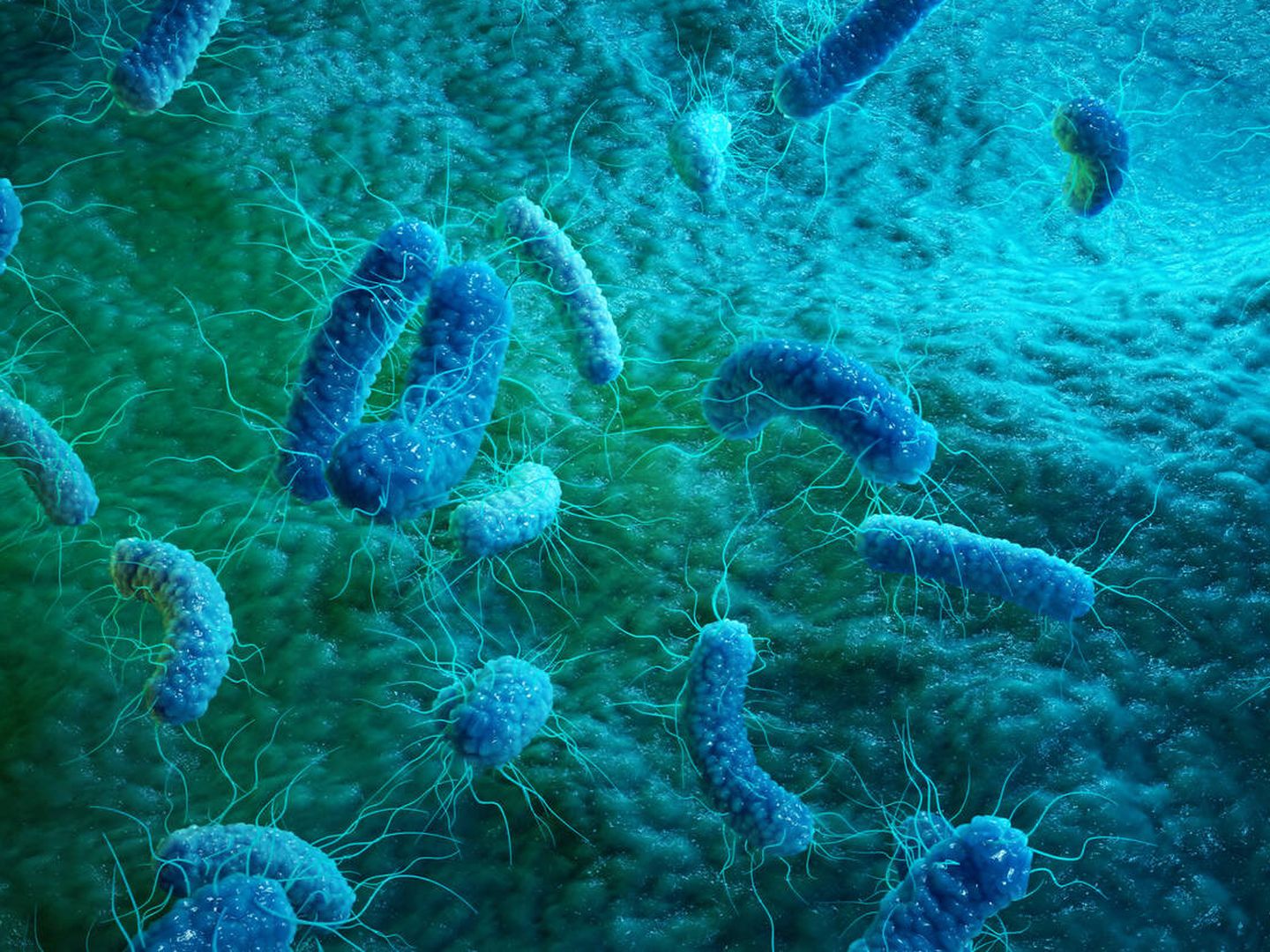 Bacterias negativas. (iStock)
