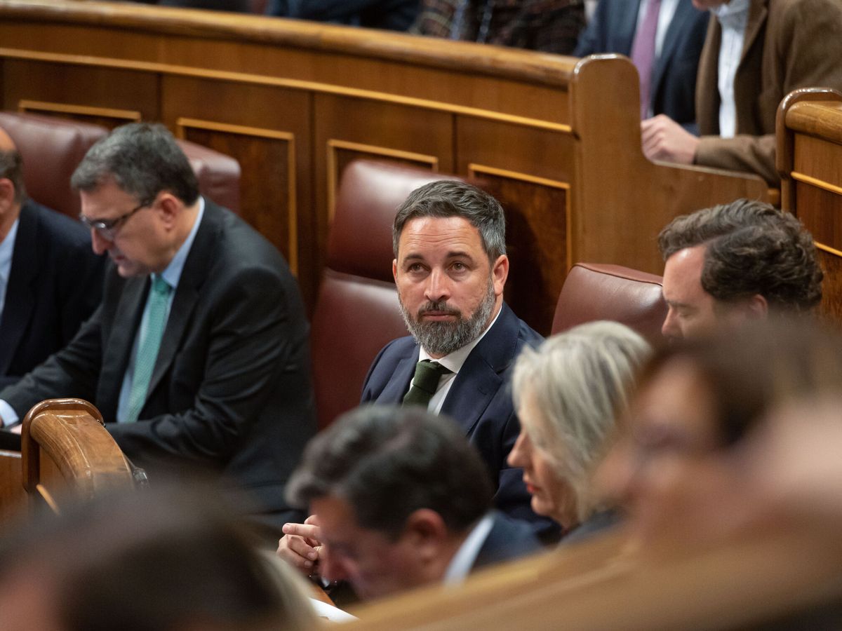 Foto: Santiago Abascal, durante el pleno del Congreso. (EFE/Fernando Villar)