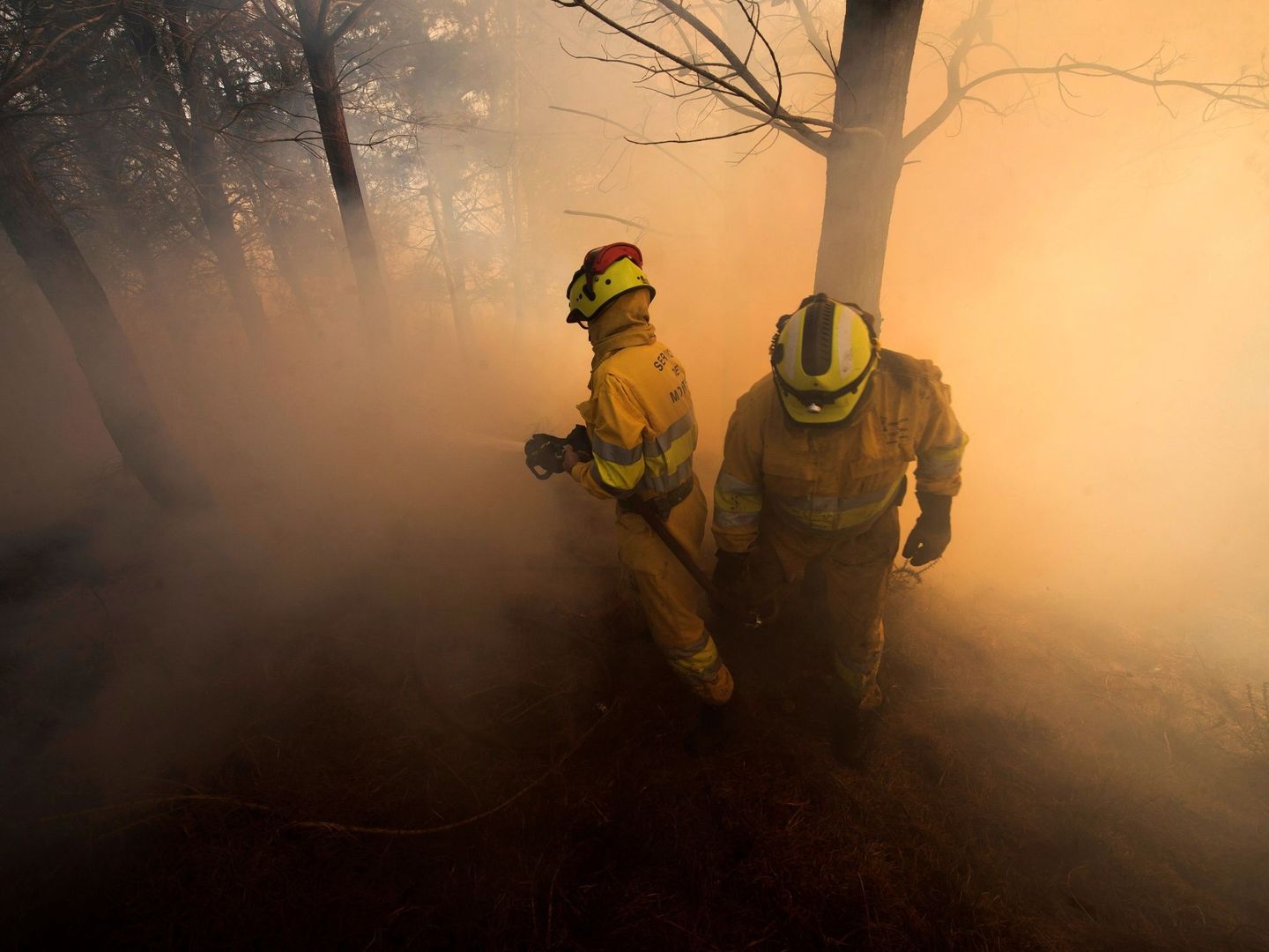Agentes de montes de Cantabria apagan un incendio forestal. (EFE)
