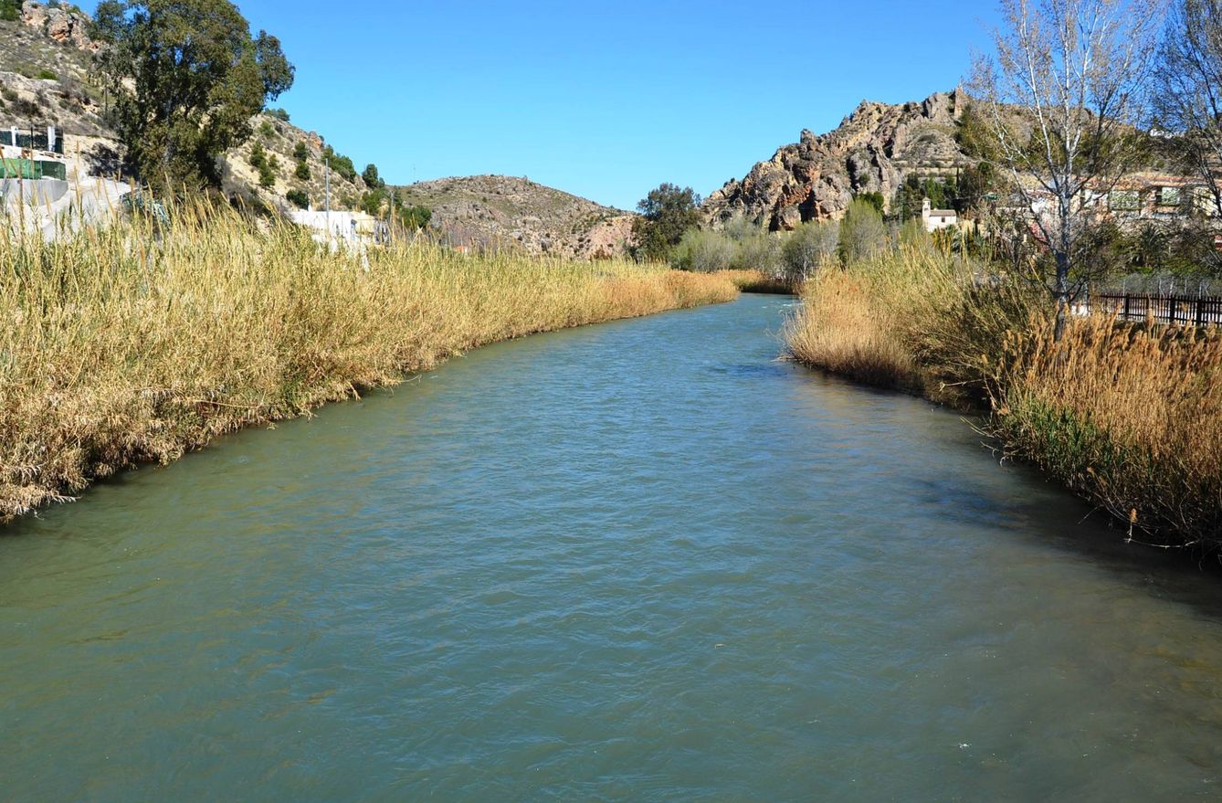 El río Segura es uno de los más frágiles y explotados de España. (CHS)