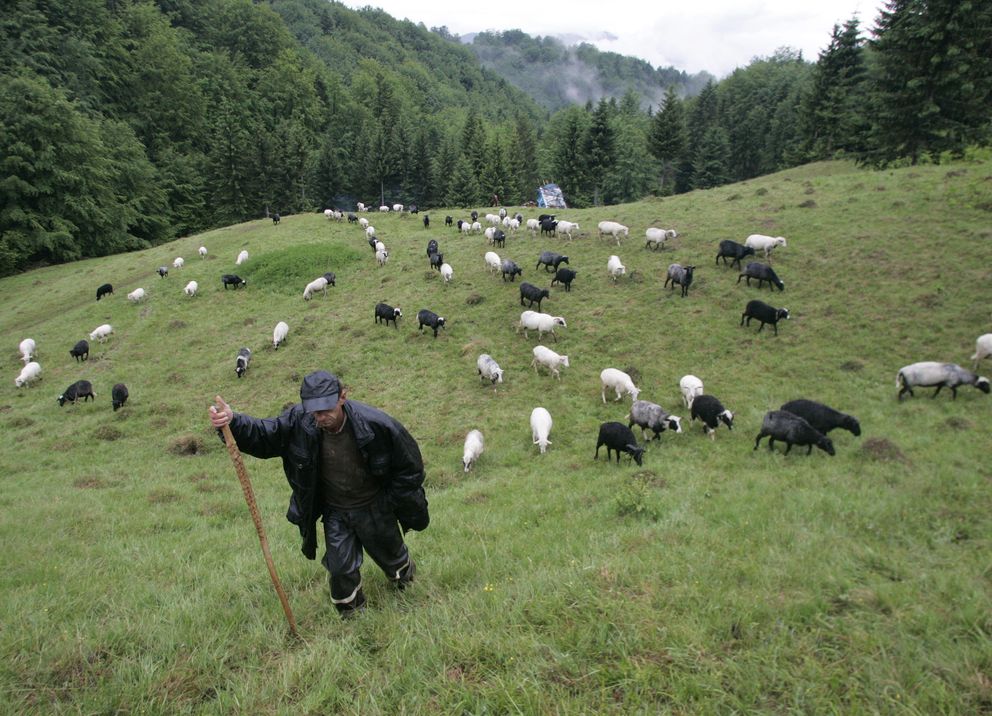 Un pastor ucraniano en las montañas de los Cárpatos, a 700 kilómetros de Kiev (Reuters).