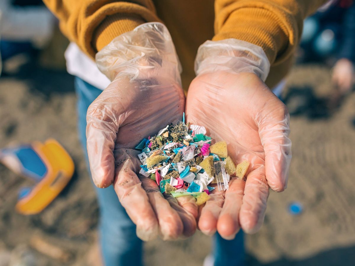 Foto: Los microplásticos pueden transportar parásitos al océano, lo que afecta la vida silvestre y la salud humana. (Fuente: iStock)