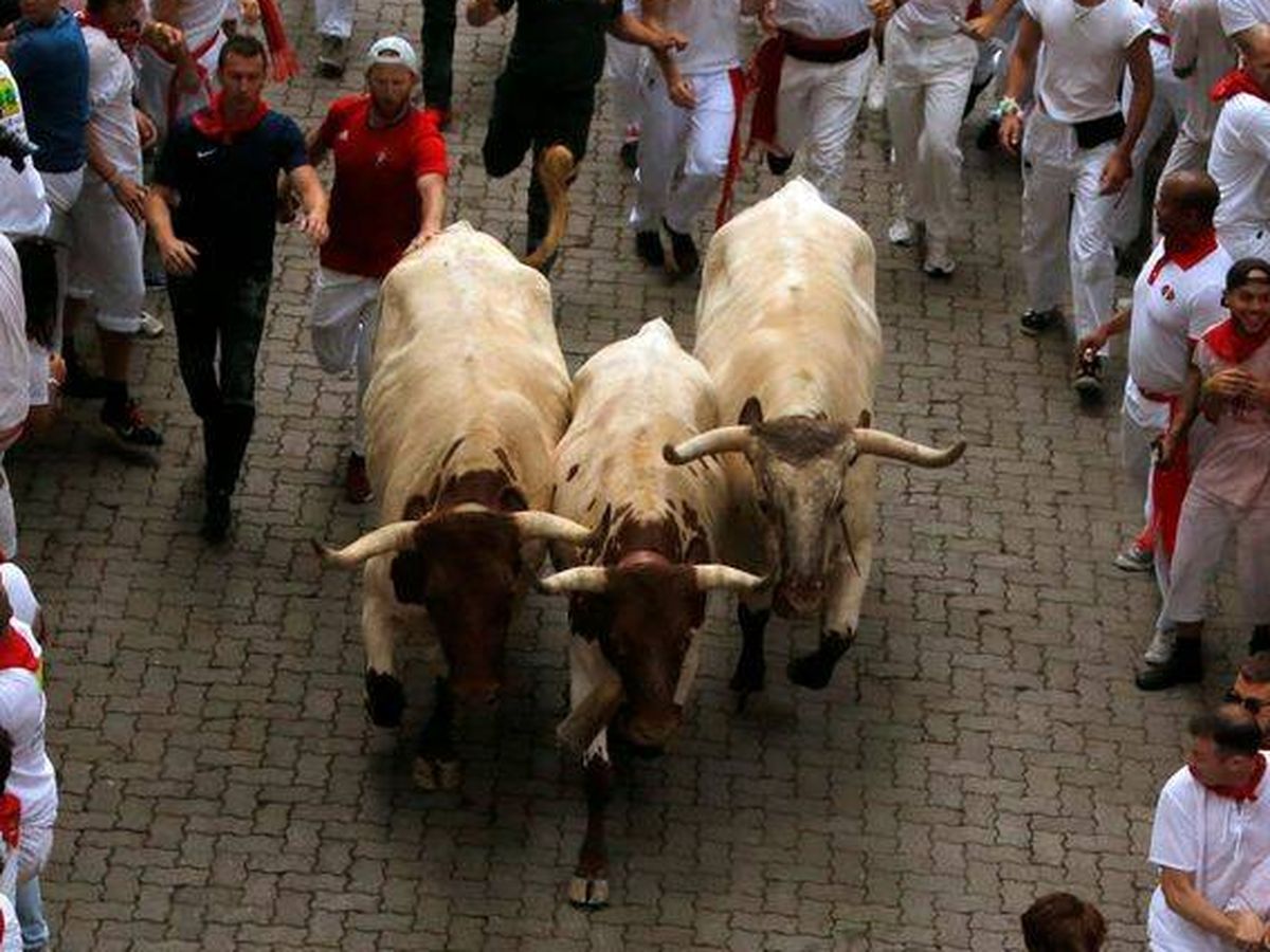 Foto: Horario del encierro de San Fermín, 10 de julio: horario, dónde ver y ganadería de toros (EFE)