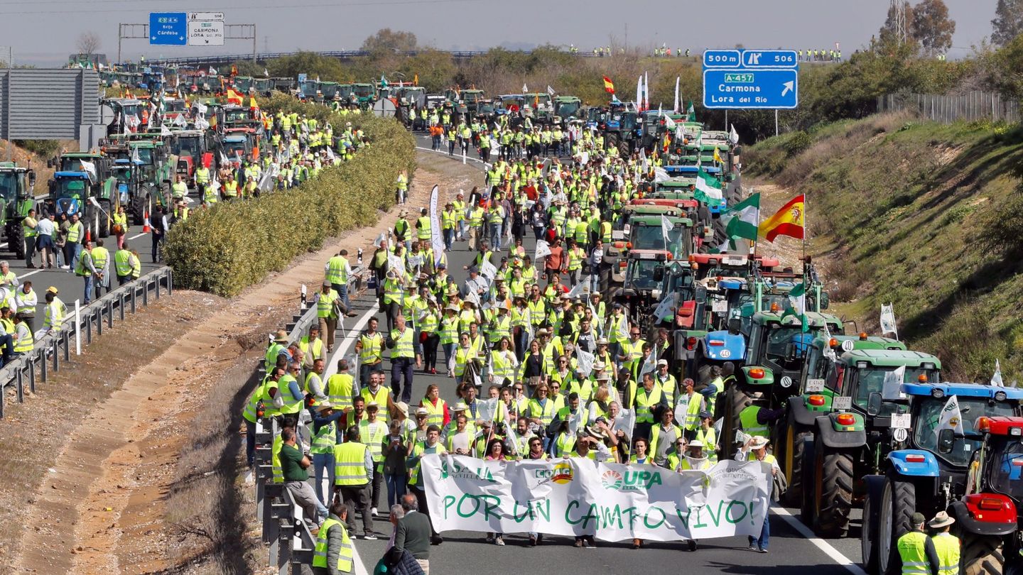 Miles de agricultores y ganaderos con sus tractores durante el corte de tráfico en ambos sentidos de la autovía A-4 a la altura de la localidad sevillana de Carmona (EFE)