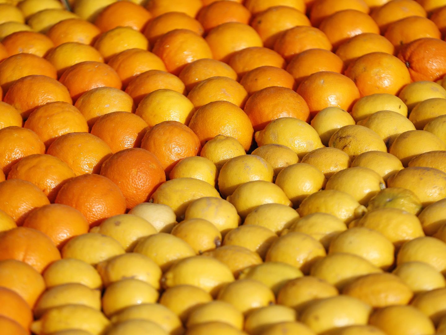 Naranjas y limones. 