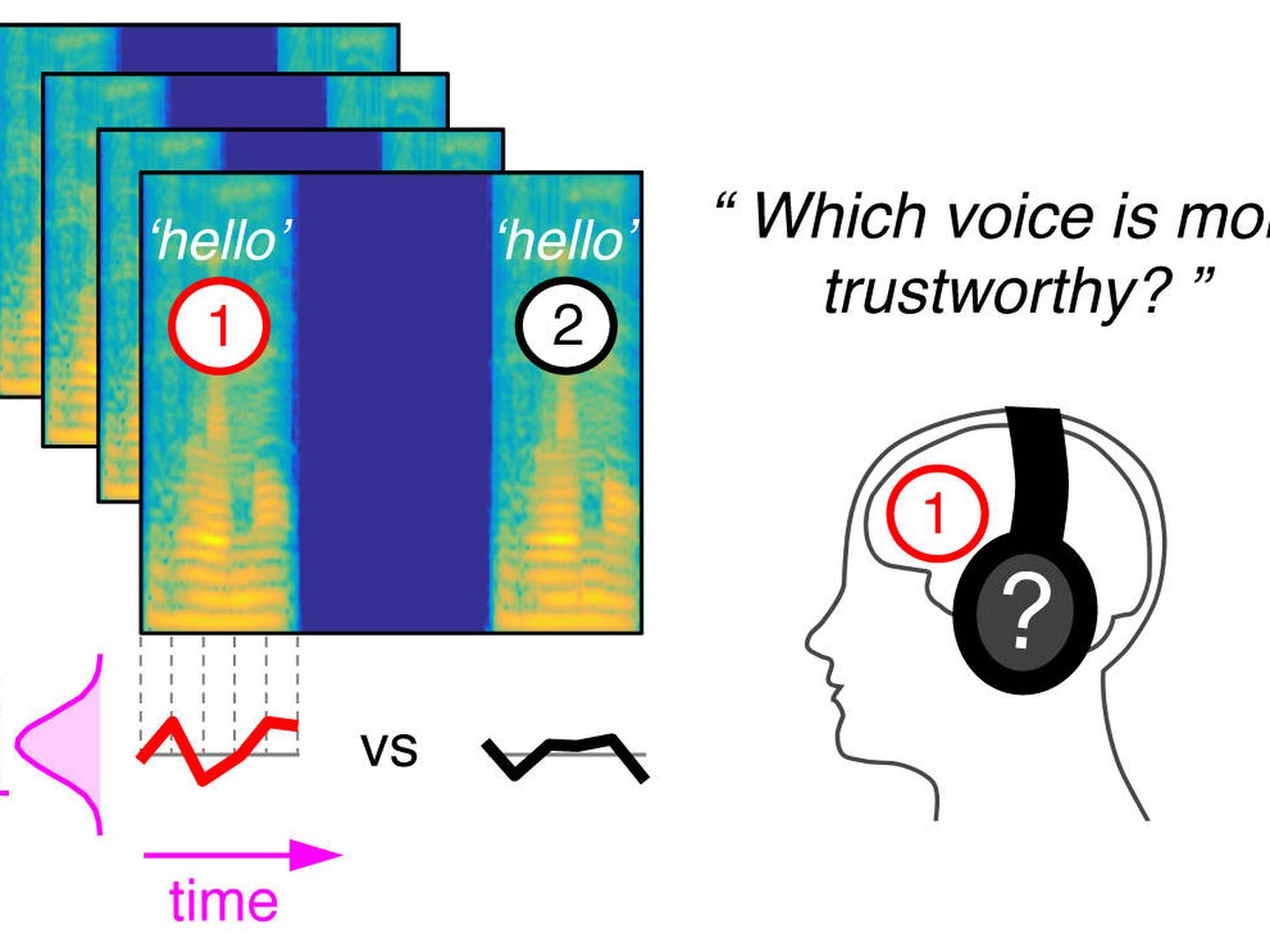 ¿Qué voz es más fiable? Todo depende de la entonación (CNRS)