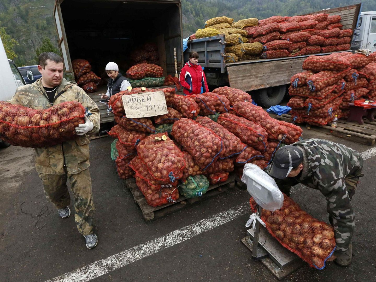 Empleados de una granja local descargan sacos de patatas en Divnogorsk, Siberia (Reuters).