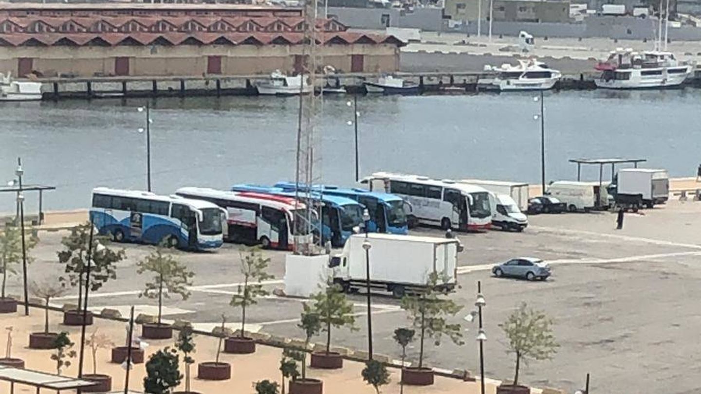Autobuses marroquíes, en el puerto de Algeciras.