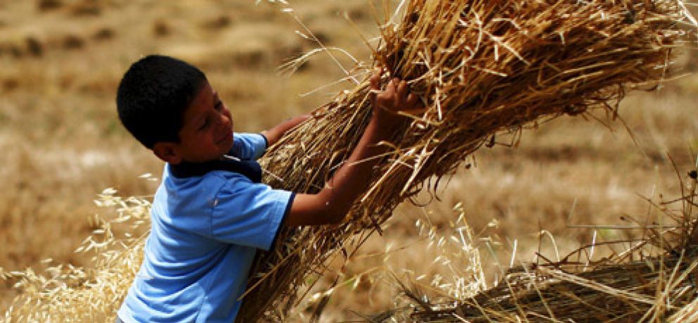 Foto: Rusia dispara el precio del trigo por la suspensión de sus exportaciones
