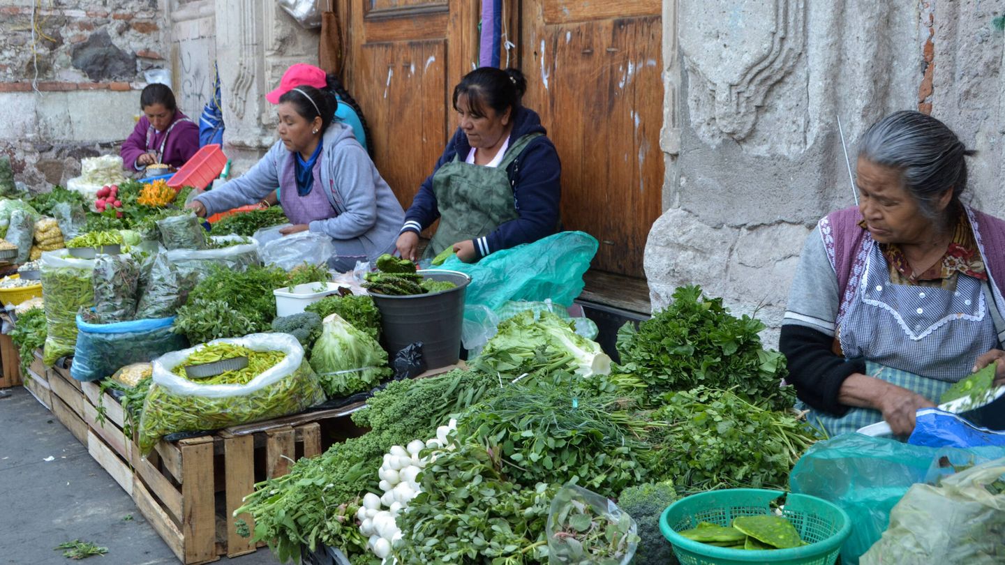 Mujeres vendiendo quelites frescos en una plaza de Pachuca de Soto, México. (Wikipedia)