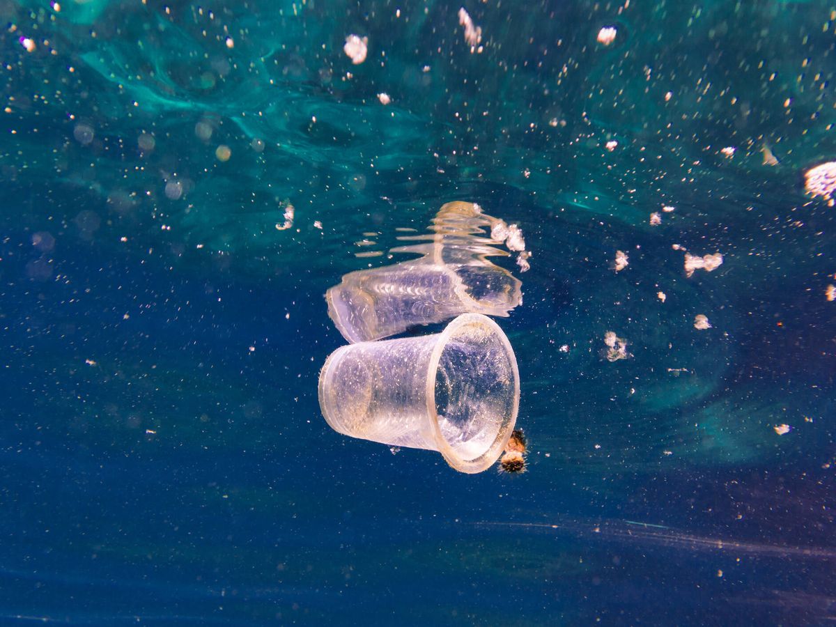 Foto: Los microplásticos son uno de los mayores problemas ambientales del siglo XXI (Fuente: iStock)