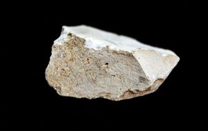 Pobladores en Atapuerca desde hace 1,4 millones de años
