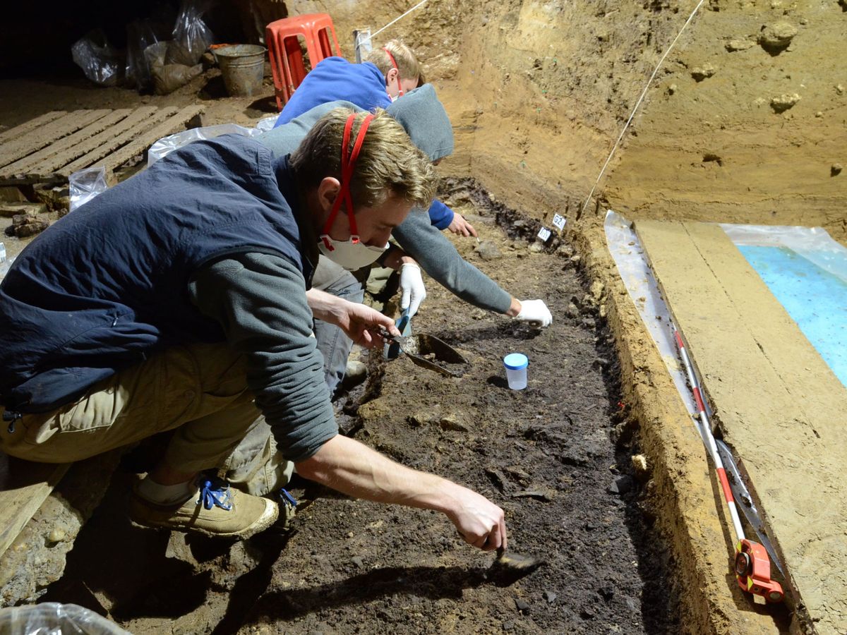 Foto:  Los investigadores analizando las muestras de la cueva de Bacho Kiro (Bulgaria). Foto:Tsenka Tsanova Handout via REUTERS