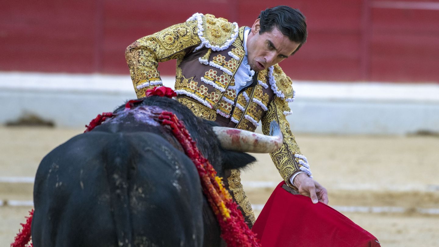 El torero Juan Ortega durante la faena a uno de sus toros en la plaza de toros de Jaén. (EFE/José Manuel Pedrosa)