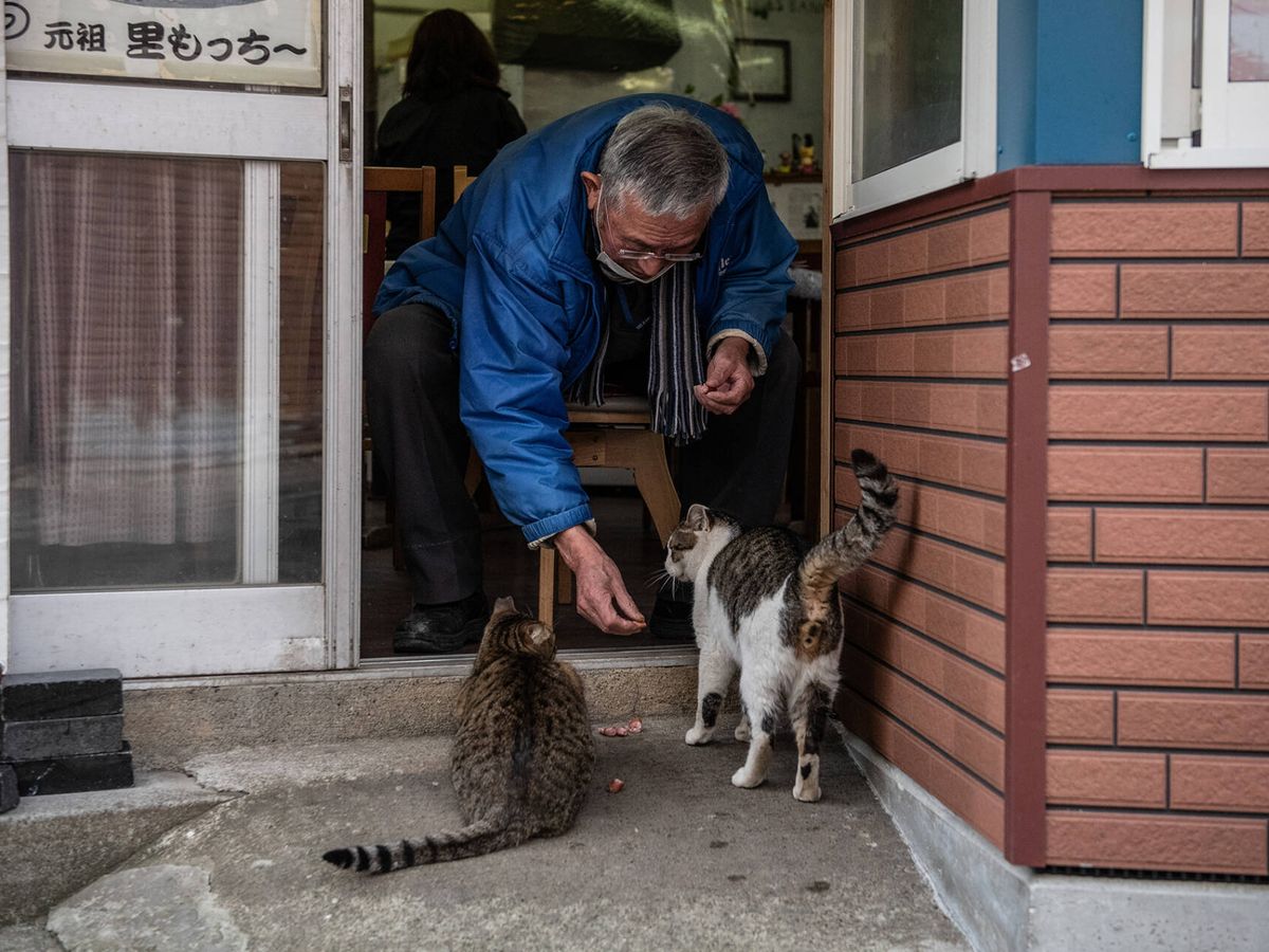 Foto: Un hombre alimenta a un par de gatos en Tōjinbō, Japón. (Getty/Carl Court)