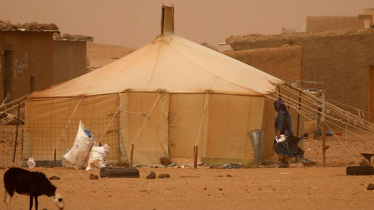 Exteriores aconseja que los españoles abandonen el Sáhara "en cuanto sea posible"