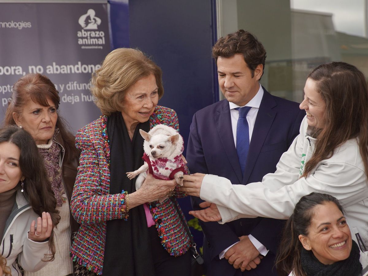 Foto: La reina Sofía junto a uno de los perros. (Europa Press)