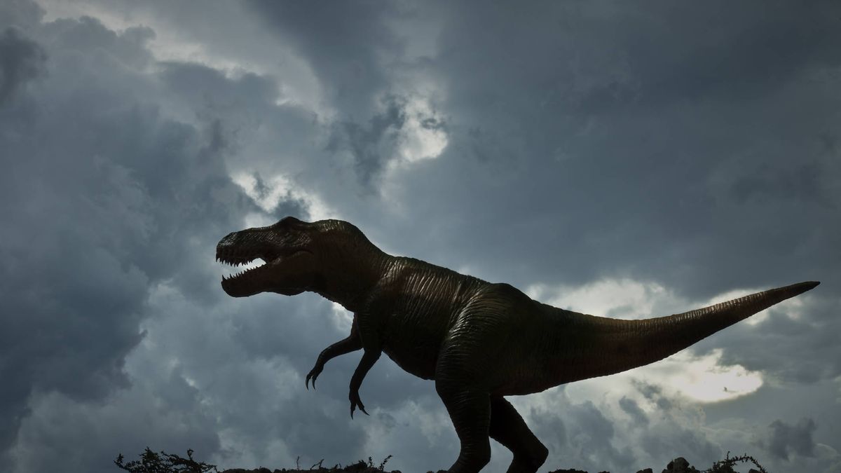 El T. Rex era muy lento: podrías adelantarlo incluso caminando, según un nuevo estudio