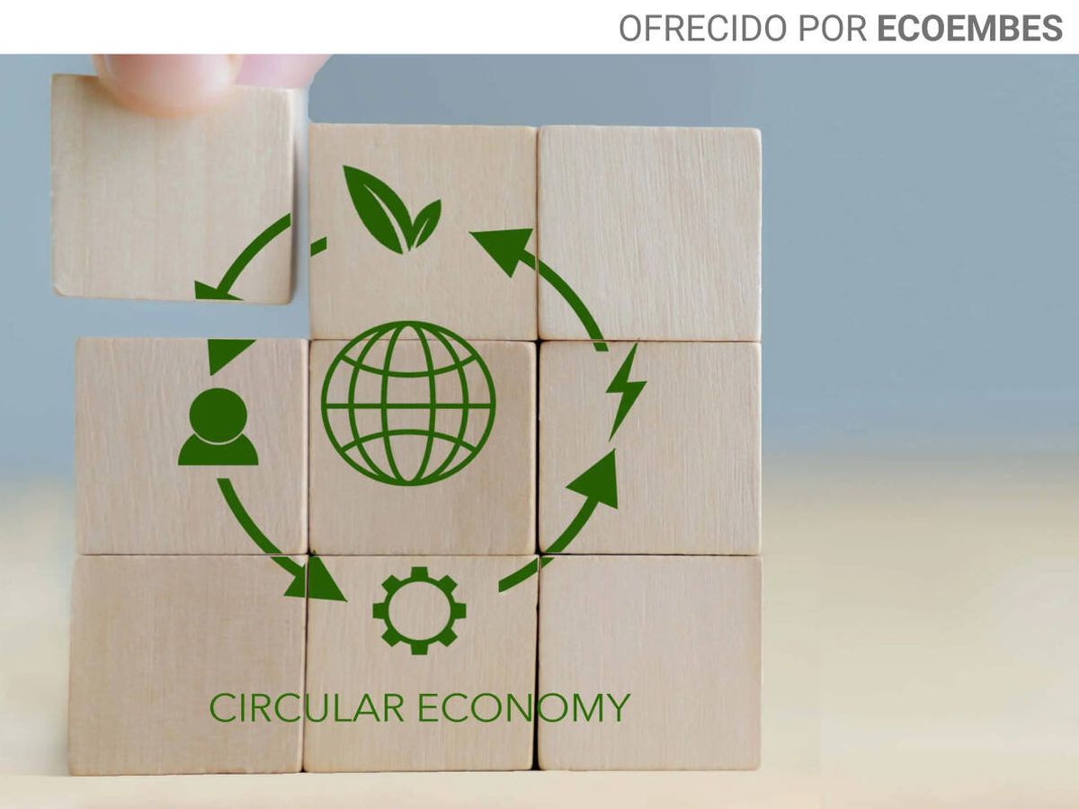 Se avecinan 18 millones de empleos: cómo formarse en economía circular