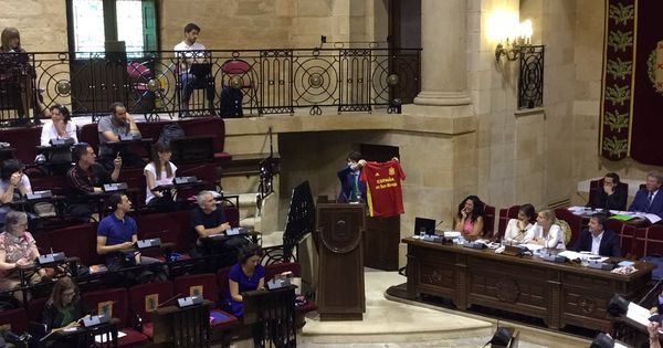Foto: El portavoz del PP en las Juntas Generales de Vizcaya, Javier Ruiz, exhibe una camiseta de España en el pleno. (EC)