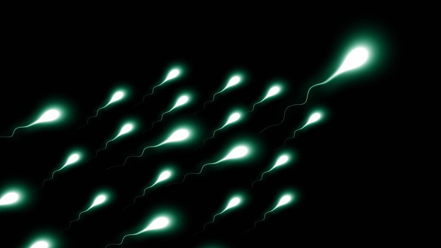 La calidad del esperma es clave para la fecundación. Foto: Pixabay