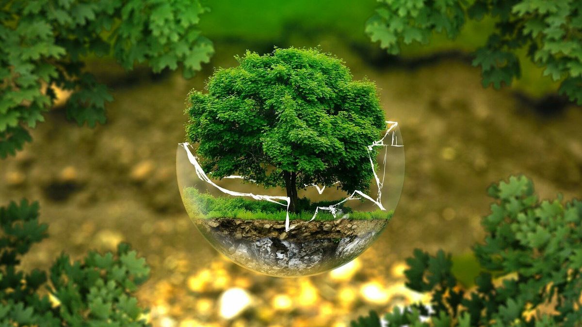La amenaza del 'fraude verde' ante las iniciativas medioambientales de los países europeos