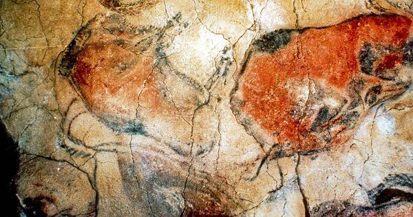 Foto: Fotografía de archivo de las pinturas rupestres en las Cuevas de Altamira. (EFE)