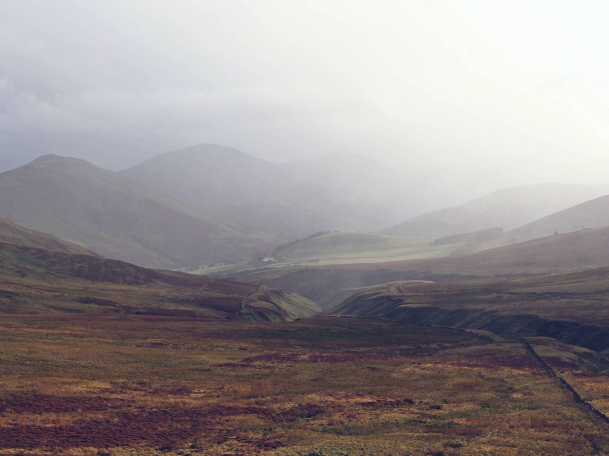 Foto: Las Pentland Hills en Escocia, una de las turberas más famosas del mundo. (Unsplash/@seanpaulkinnear)