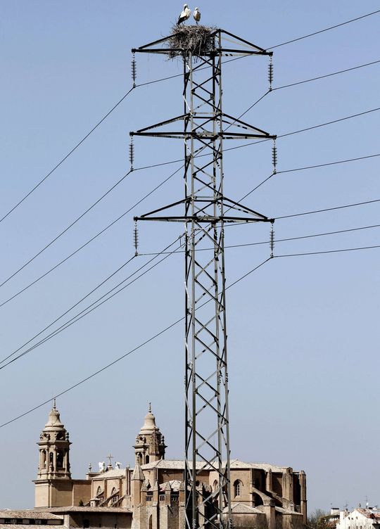 Foto: Dos cigüeñas permanecen junto al nido en un poste del tendido eléctrico con la Catedral de Pamplona al fondo. (EFE)