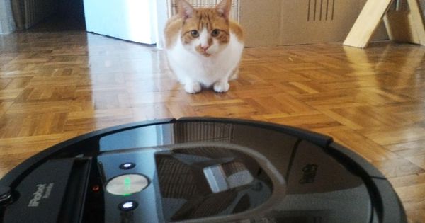 Foto: Poly vs Roomba