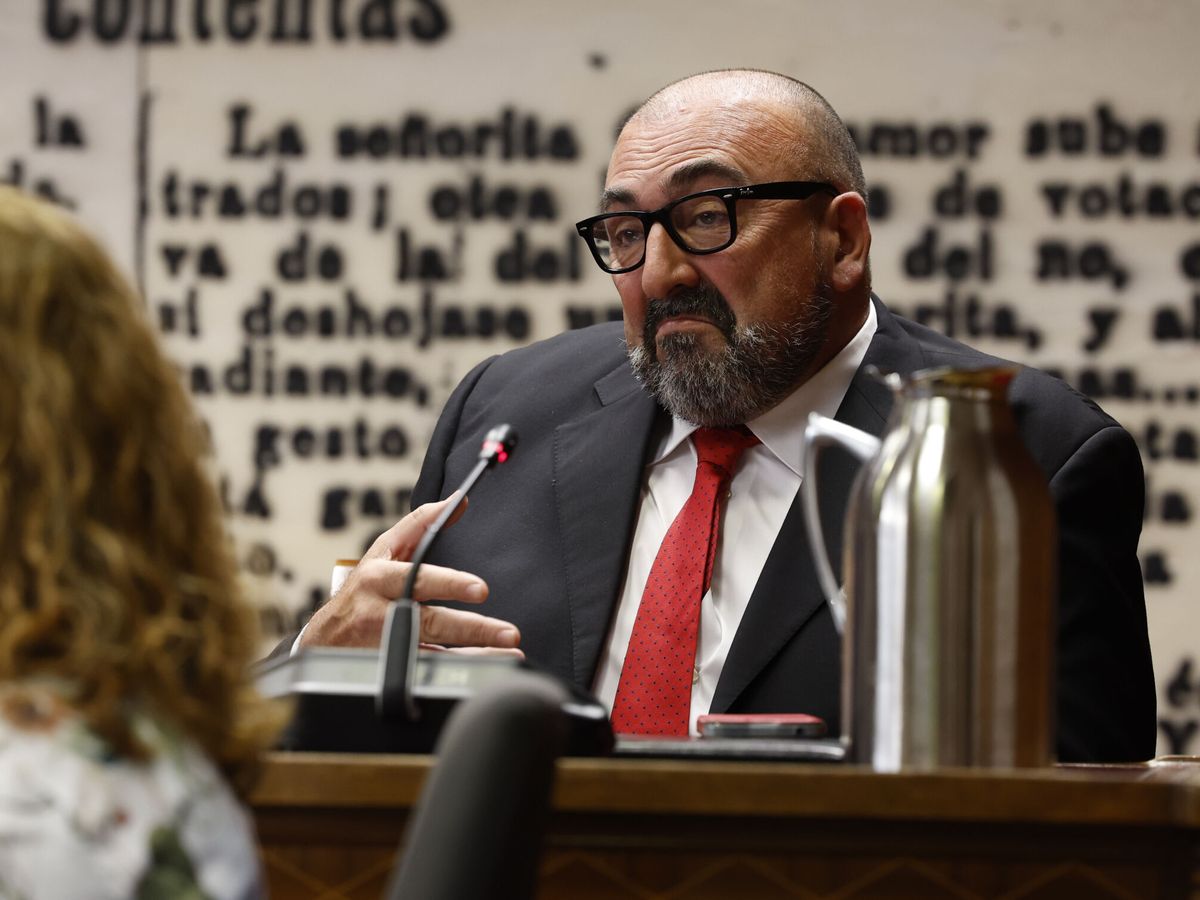 Foto: Koldo García comparece en el Senado. (EFE/J.J. Guillén)