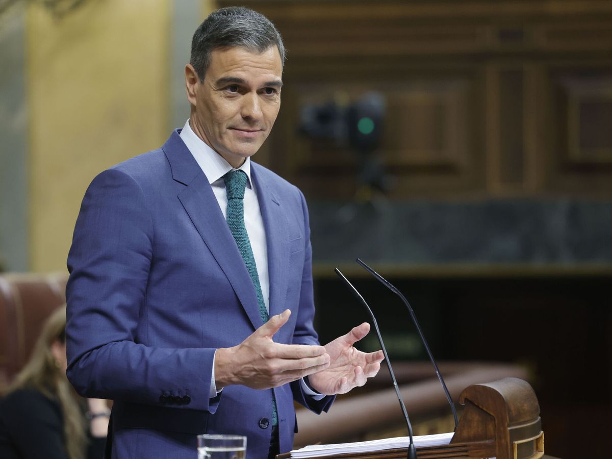 Foto: Pedro Sánchez en el Congreso. (EFE/Zipi Aragón)