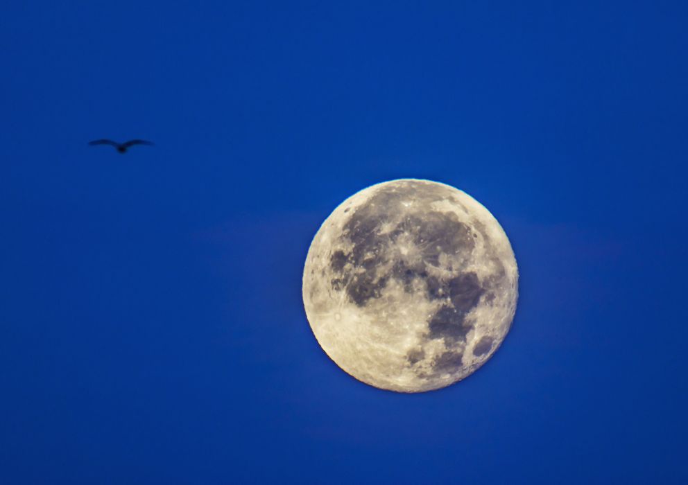 Foto: La percepción subjetiva y objetiva del sueño cambia según los ciclos lunares. (Efe)