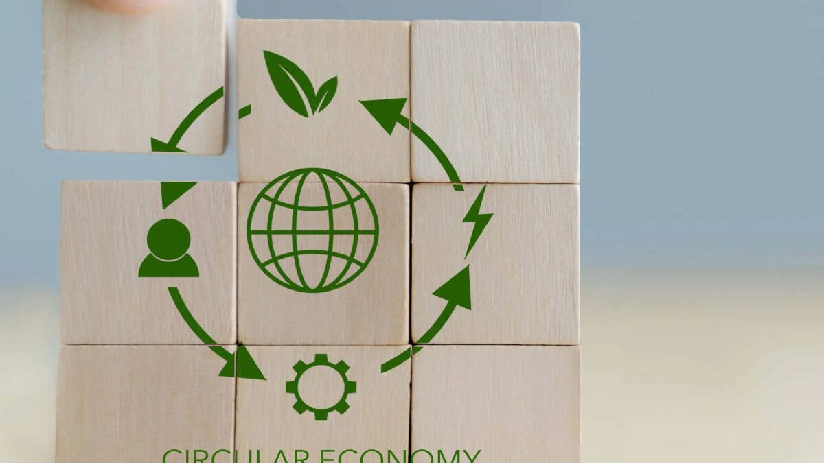 Se avecinan 18 millones de empleos: cómo formarse en economía circular