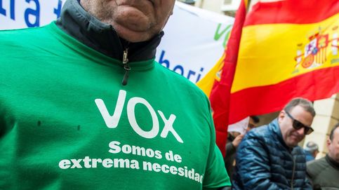 Así el programa electoral de Vox para las elecciones andaluzas y para toda España
