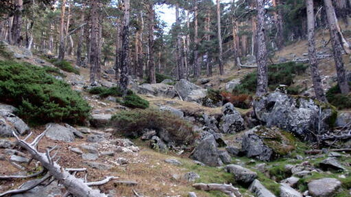 Vistas del Camino Schmidt. (Wikipedia)