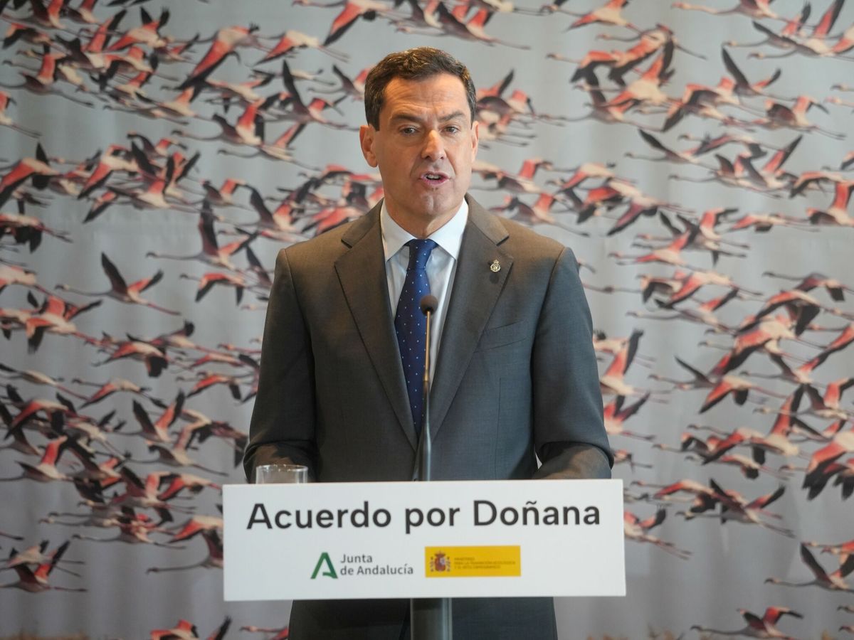 Foto: El presidente de la Junta de Andalucía, Juanma Moreno, tras firmar el acuerdo por Doñana. (Europa Press/F. Olmo)