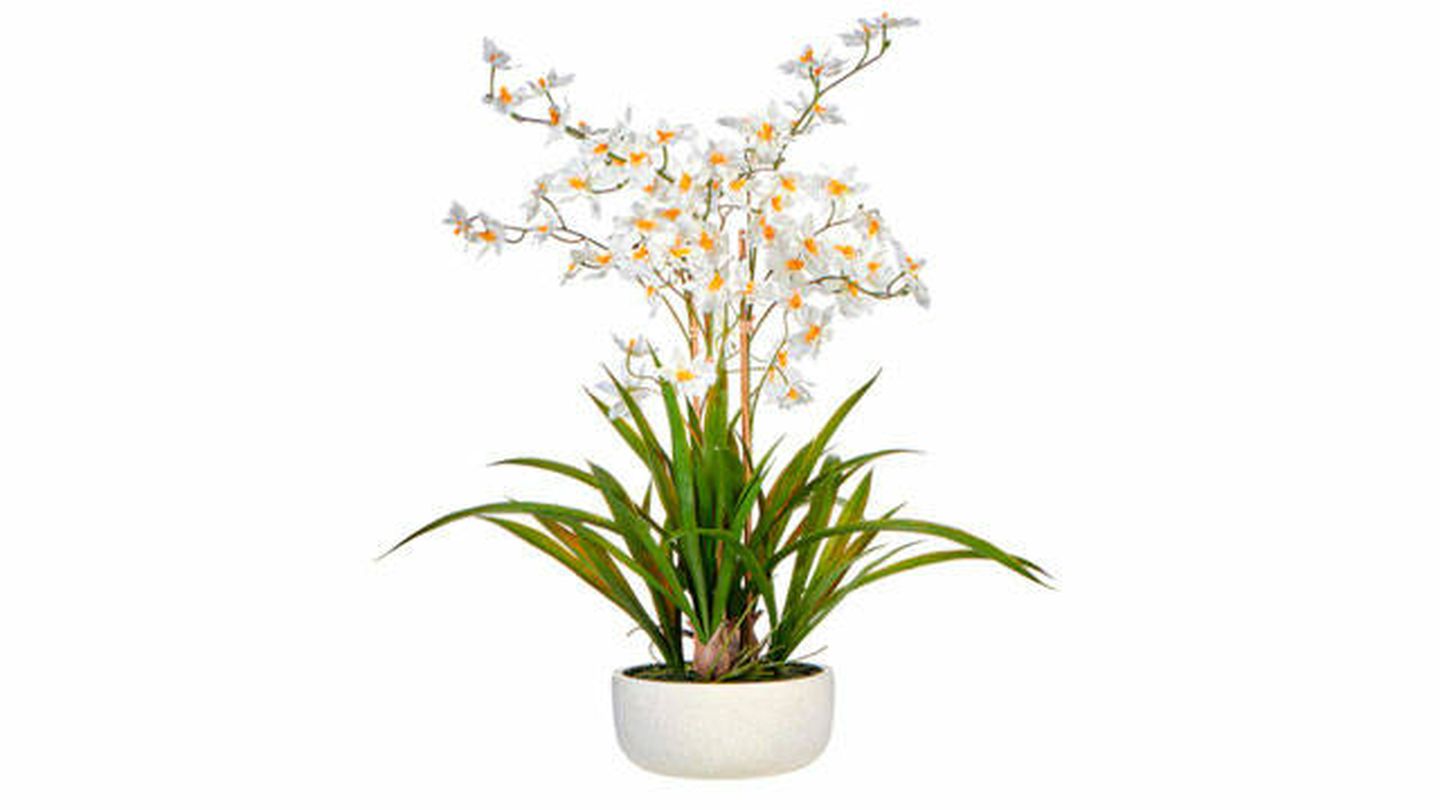 Orquídea artificial con base natural