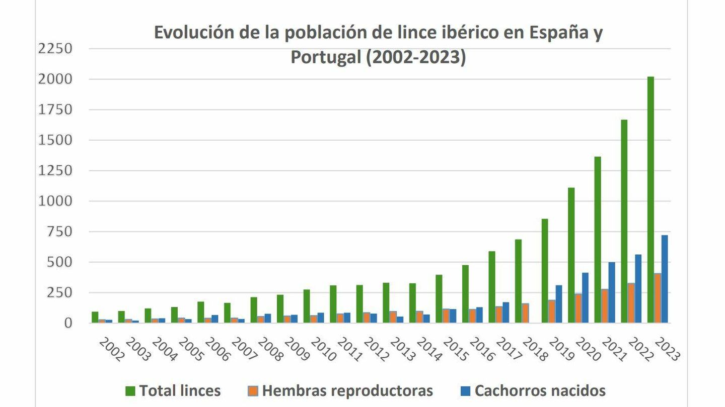 Gráfica de población del lince ibérico (MITECO)
