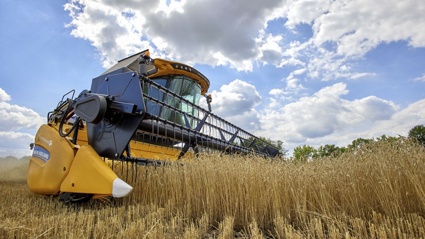 Una cosechadora recolecta trigo en un campo cerca de Járkov, Ucrania. (EFE/Sergey Kozlov)