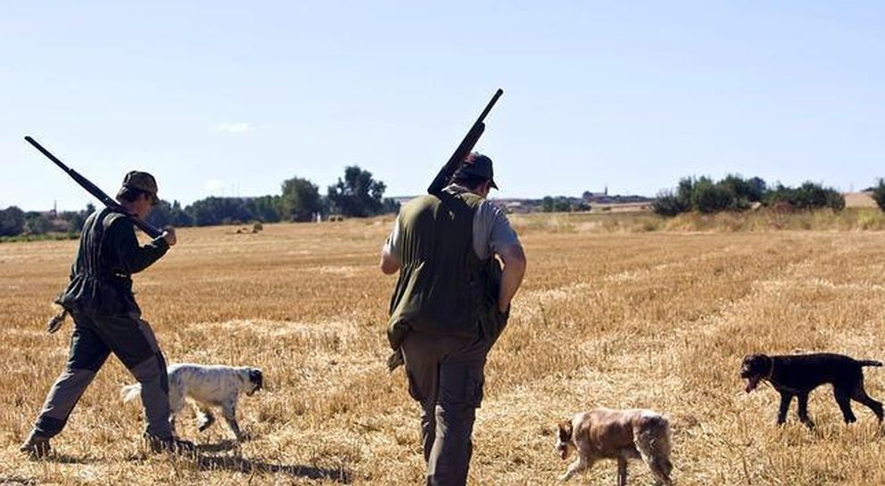 El Magrama quiere establecer una licencia única de caza para toda España. 