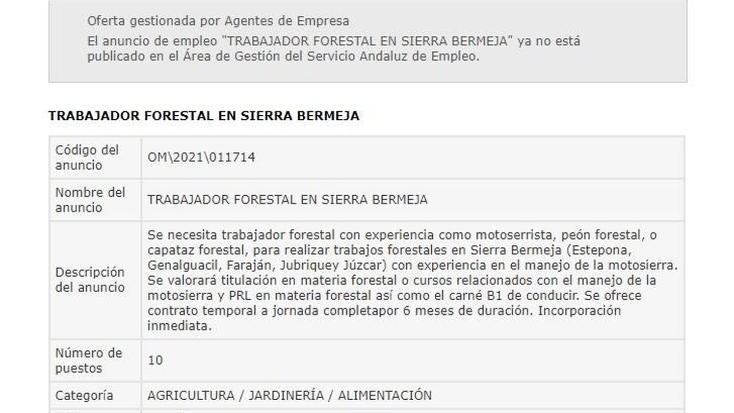 Anuncio de la oferta publicado en la web del Servicio Andaluz de Empleo. (EC)