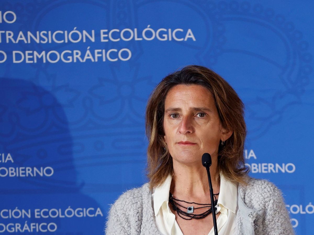 Foto: La ministra para la Transición Ecológica y el Reto Demográfico, Teresa Ribera. (EFE)