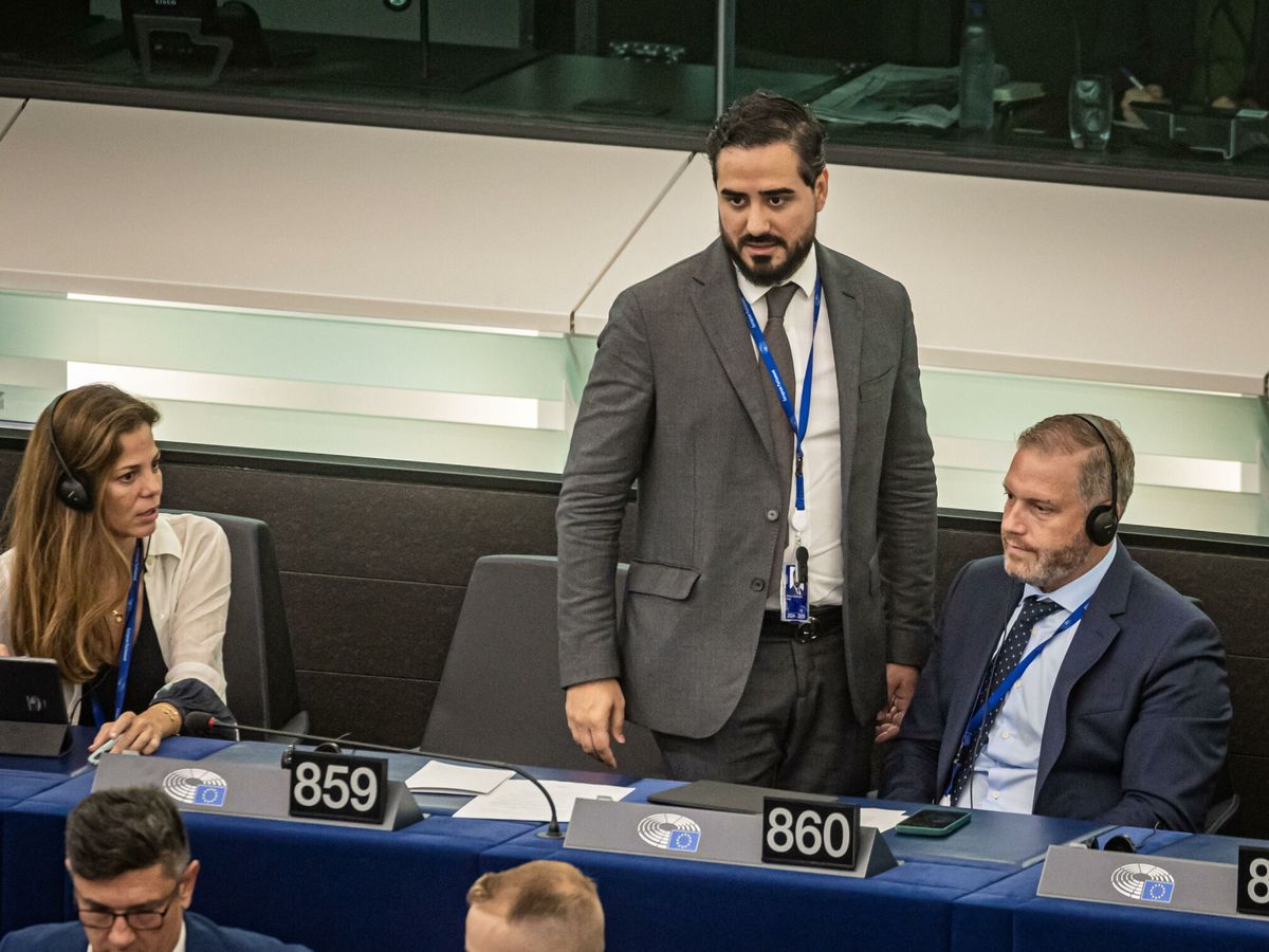 Foto: Alvise Pérez participa en una sesión del Parlamento europeo. (EFE/EPA/Christophe Petit Tesson)