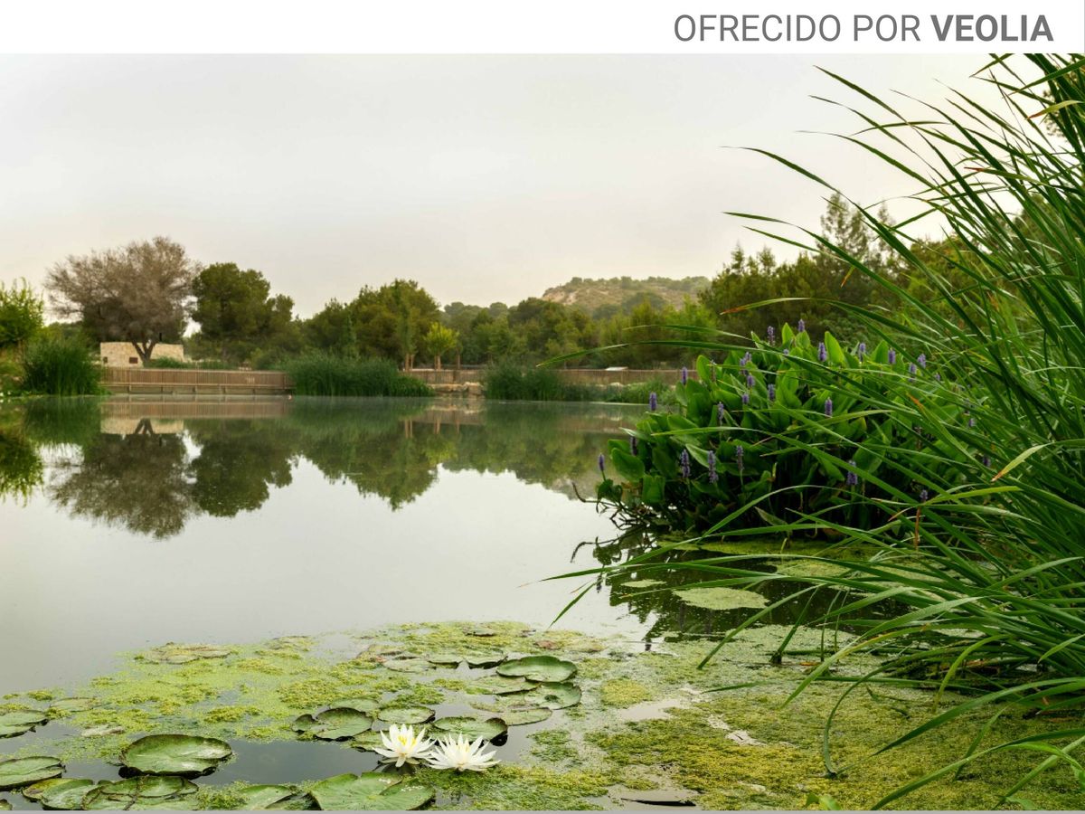Foto: El parque El Recorral, en Alicante, cuenta con cinco lagunas artificiales, a partir de agua regenerada. (Foto cedida por Veolia)