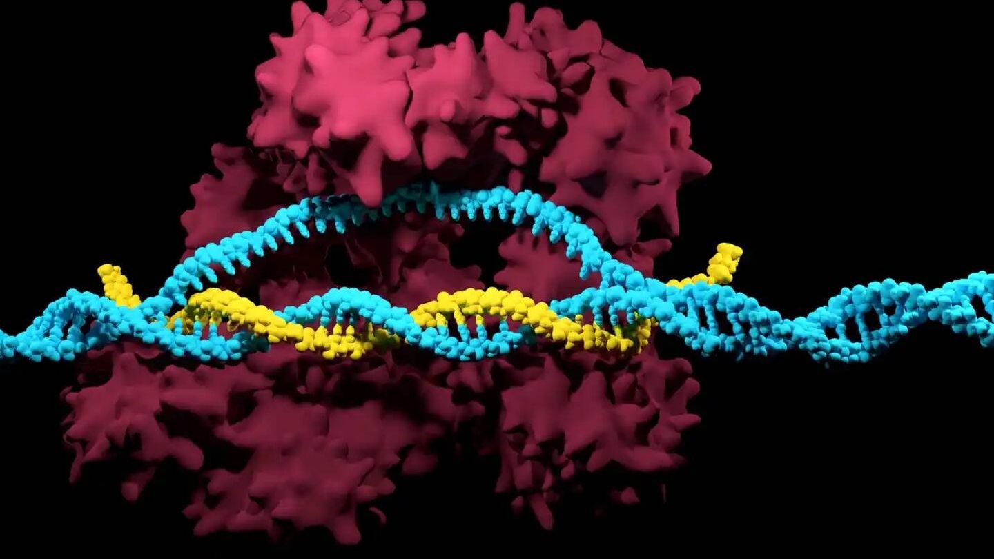 Representación de la edición genética CRISPR.