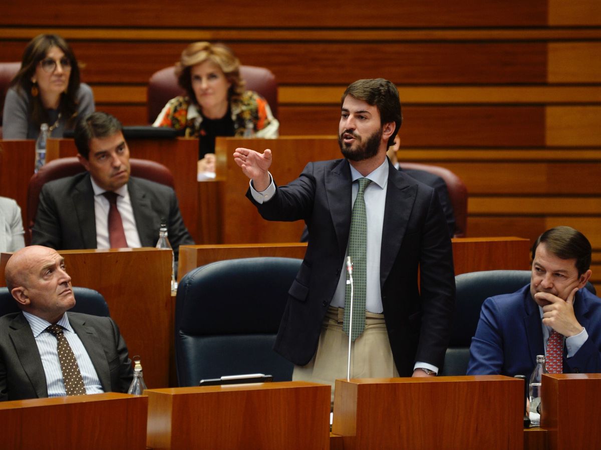 Foto: El vicepresidente de la Junta de Castilla y León, Juan García-Gallardo. (EFE/Nacho Gallego)