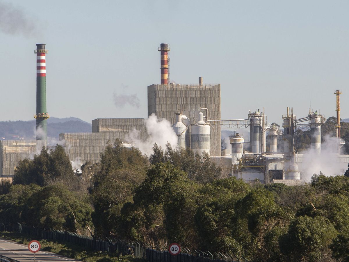 Foto: Vista de la fábrica de Ence en Pontevedra. (EFE/Salvador Sas)