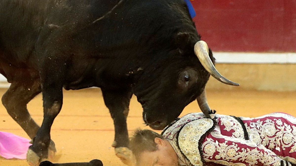 Mariano De la Viña continúa en estado muy grave tras la cornada de un toro en Zaragoza
